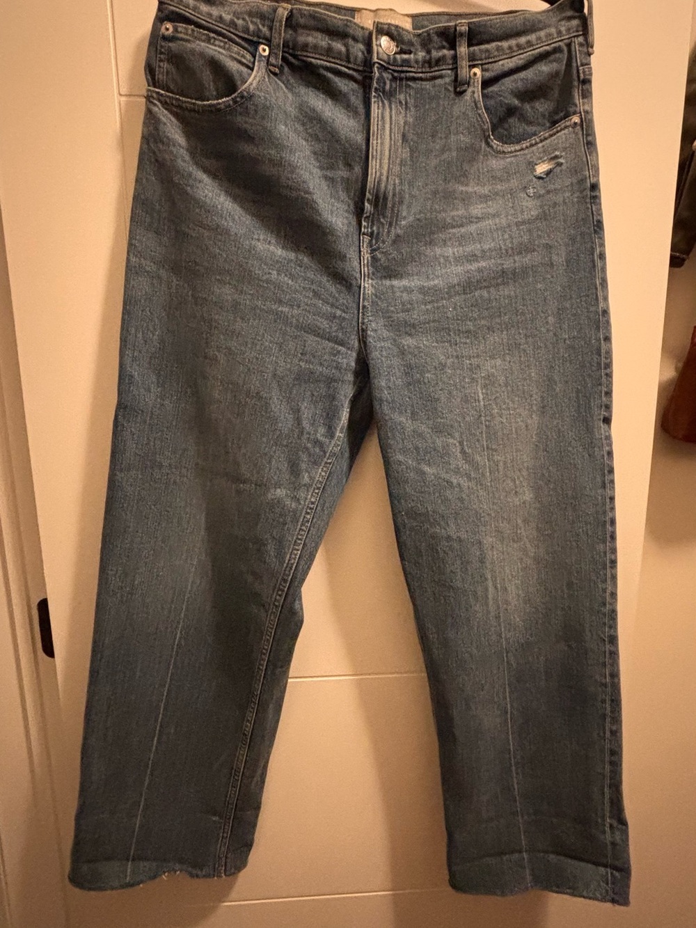 Everlane Relaxed Straight Jeans in Faded Blue